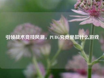 引领战术竞技风潮，PUBG究竟是款什么游戏