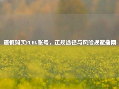 谨慎购买PUBG账号，正规途径与风险规避指南