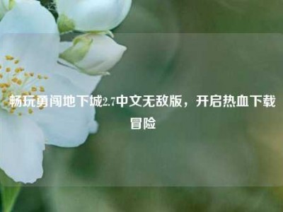 畅玩勇闯地下城2.7中文无敌版，开启热血下载冒险