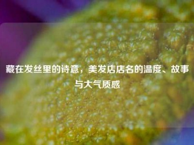 藏在发丝里的诗意，美发店店名的温度、故事与大气质感