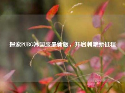 探索PUBG韩国服最新版，开启刺激新征程