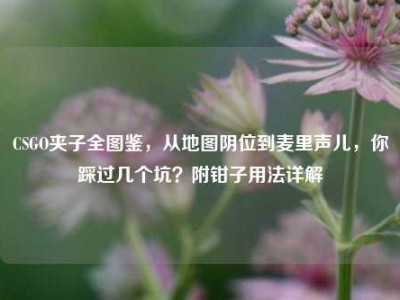 CSGO夹子全图鉴，从地图阴位到麦里声儿，你踩过几个坑？附钳子用法详解