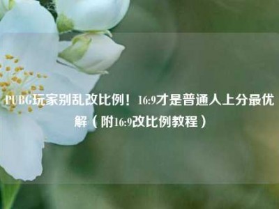 PUBG玩家别乱改比例！16:9才是普通人上分最优解（附16:9改比例教程）