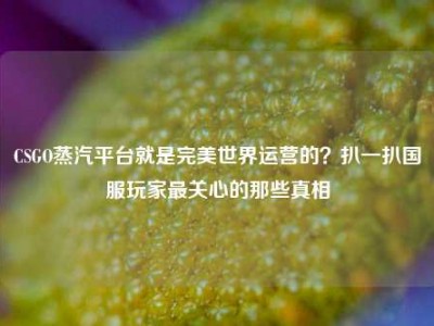 CSGO蒸汽平台就是完美世界运营的？扒一扒国服玩家最关心的那些真相