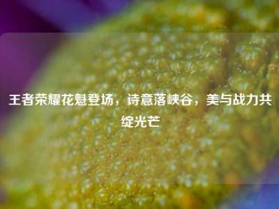 王者荣耀花魁登场，诗意落峡谷，美与战力共绽光芒