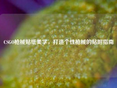 CSGO枪械贴纸美学，打造个性枪械的贴附指南