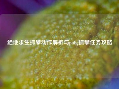 绝地求生抓攀动作解析与pubg抓攀任务攻略