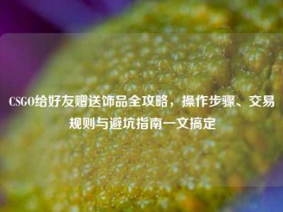 CSGO给好友赠送饰品全攻略，操作步骤、交易规则与避坑指南一文搞定