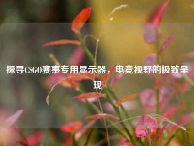 探寻CSGO赛事专用显示器，电竞视野的极致呈现