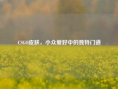 CSGO皮肤，小众爱好中的独特门道