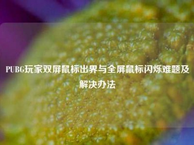 PUBG玩家双屏鼠标出界与全屏鼠标闪烁难题及解决办法
