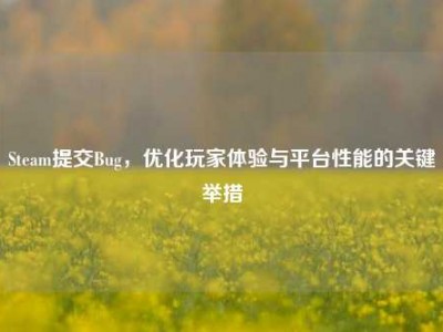 Steam提交Bug，优化玩家体验与平台性能的关键举措