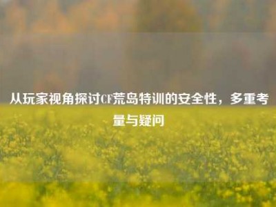 从玩家视角探讨CF荒岛特训的安全性，多重考量与疑问