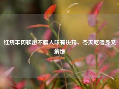 红烧羊肉软嫩不膻入味有诀窍，冬天吃暖身又解馋