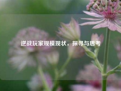 逆战玩家规模现状，探寻与思考