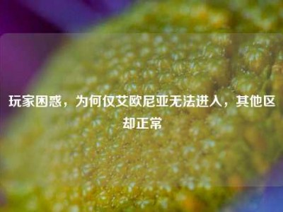玩家困惑，为何仅艾欧尼亚无法进入，其他区却正常