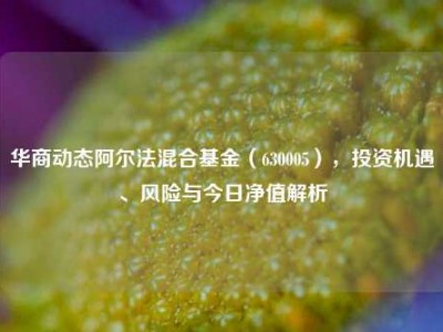 华商动态阿尔法混合基金（630005），投资机遇、风险与今日净值解析