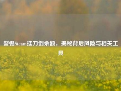 警惕Steam挂刀倒余额，揭秘背后风险与相关工具