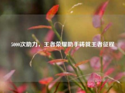 5000次助力，王者荣耀助手铸就王者征程