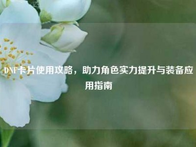DNF卡片使用攻略，助力角色实力提升与装备应用指南