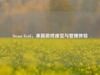 Steam Grid，革新游戏视觉与管理体验