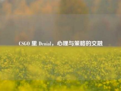 CSGO 里 Denial，心理与策略的交融