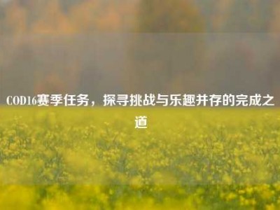 COD16赛季任务，探寻挑战与乐趣并存的完成之道