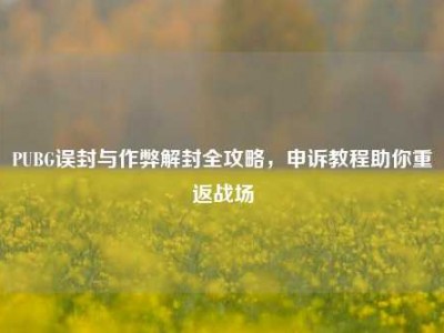 PUBG误封与作弊解封全攻略，申诉教程助你重返战场