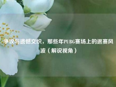 争议与遗憾交织，那些年PUBG赛场上的退赛风波（解说视角）