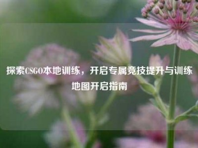探索CSGO本地训练，开启专属竞技提升与训练地图开启指南