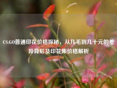 CS:GO普通印花价格探秘，从几毛到几十元的差异背后及印花集价格解析