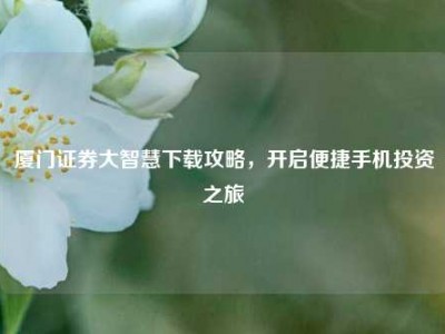 厦门证券大智慧下载攻略，开启便捷手机投资之旅