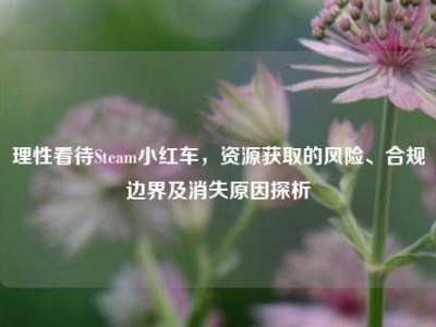 理性看待Steam小红车，资源获取的风险、合规边界及消失原因探析