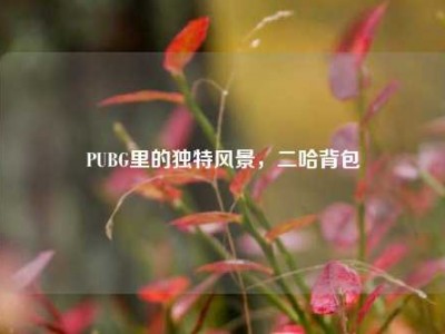 PUBG里的独特风景，二哈背包
