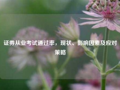 证券从业考试通过率，现状、影响因素及应对策略