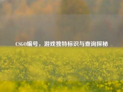 CSGO编号，游戏独特标识与查询探秘