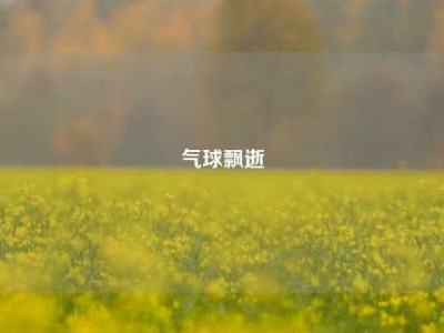 气球飘逝
