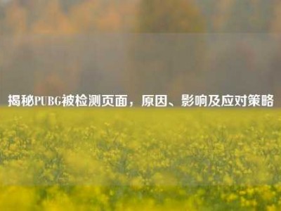 揭秘PUBG被检测页面，原因、影响及应对策略