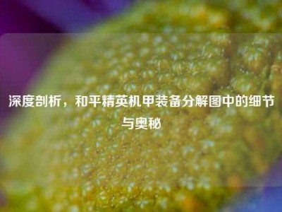 深度剖析，和平精英机甲装备分解图中的细节与奥秘