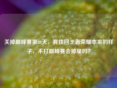 关掉巅峰赛第30天，我找回王者荣耀本来的样子，不打巅峰赛会掉星吗？