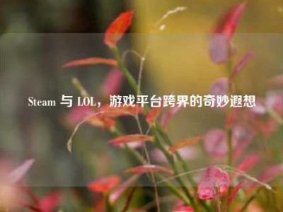 Steam 与 LOL，游戏平台跨界的奇妙遐想