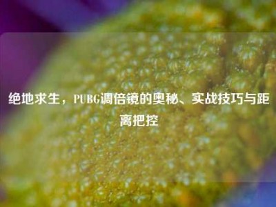 绝地求生，PUBG调倍镜的奥秘、实战技巧与距离把控