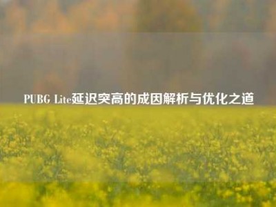 PUBG Lite延迟突高的成因解析与优化之道