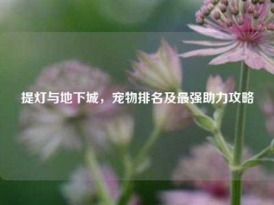 提灯与地下城，宠物排名及最强助力攻略