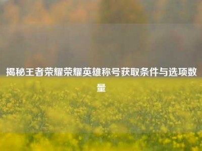 揭秘王者荣耀荣耀英雄称号获取条件与选项数量