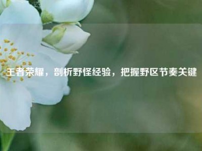 王者荣耀，剖析野怪经验，把握野区节奏关键
