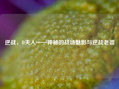 逆战，D夫人——神秘的战场魅影与逆战老婆