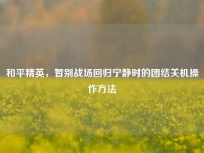 和平精英，暂别战场回归宁静时的团结关机操作方法
