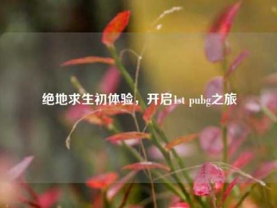 绝地求生初体验，开启1st pubg之旅
