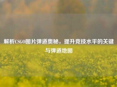 解析CSGO图片弹道奥秘，提升竞技水平的关键与弹道地图